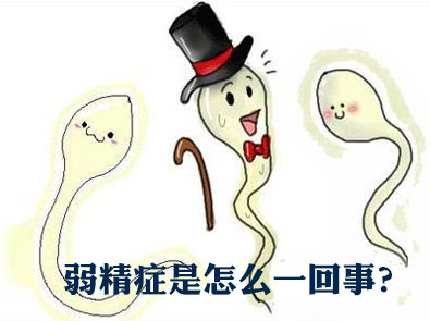 少精症,少精症原因,阜阳少精症原因