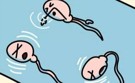 少精症,少精症危害,阜阳少精症危害