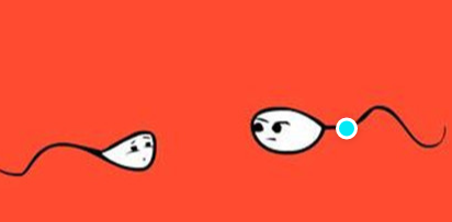 预防少精症,阜阳预防少精症,阜阳男性预防少精症