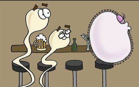 弱精症,弱精症病因,阜阳弱精症病因