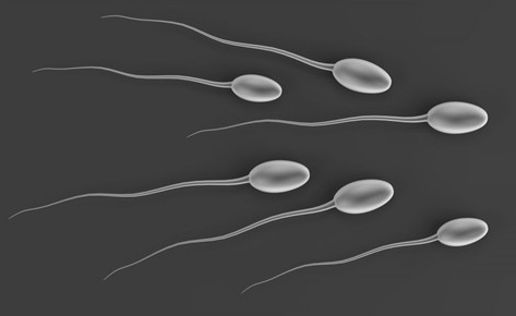 弱精症,弱精症原因,阜阳弱精症原因