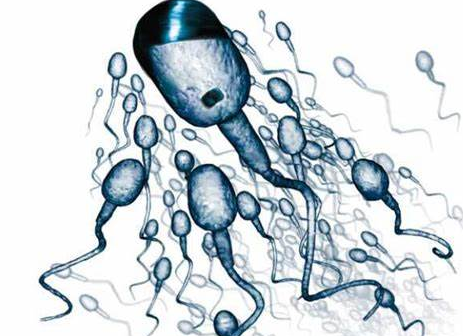 弱精症危害,弱精症具体危害,阜阳弱精症危害