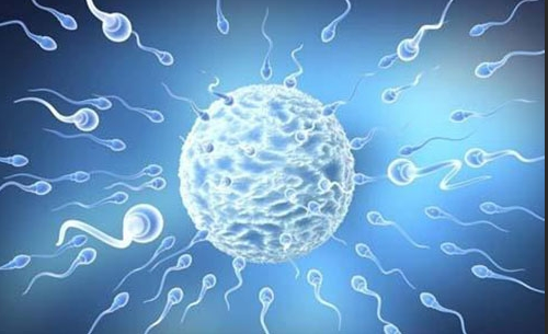 弱精症,弱精症治疗,阜阳治疗弱精症