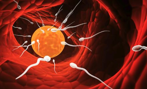 淋病,淋病症状,阜阳淋病症状